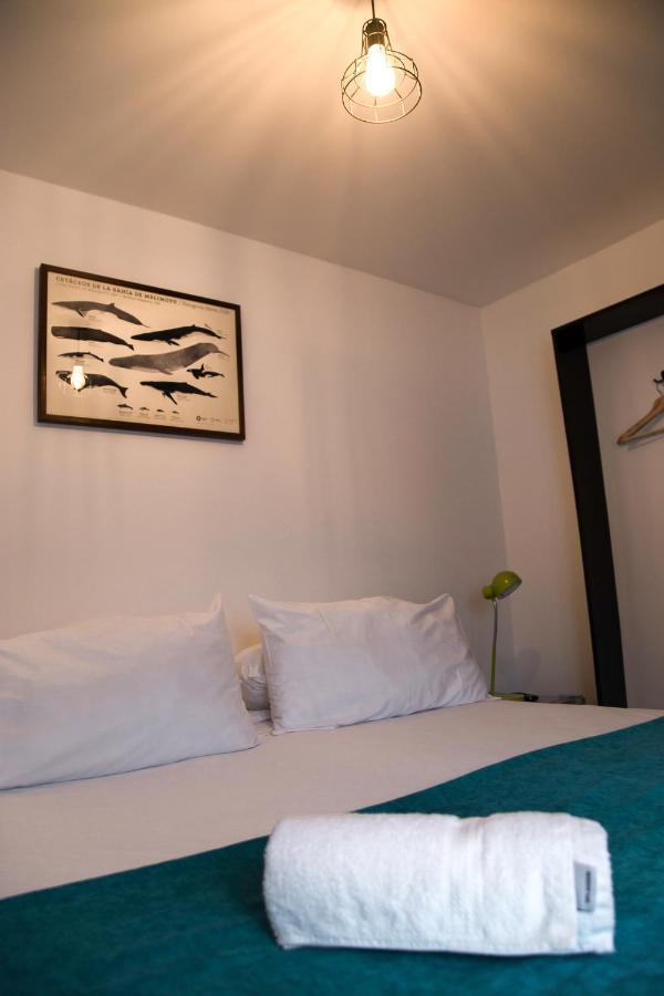 Hostal Boutique Terra Antarctica 푼타아레나스 외부 사진