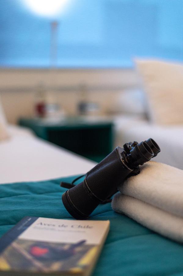 Hostal Boutique Terra Antarctica 푼타아레나스 외부 사진